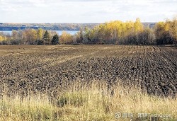 墨西哥光柱里的泥土，藏着地球的呼吸？