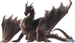 亚马逊森林的神秘守护者｜亚马孙黑龙的传说