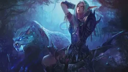 荒漠中的奇妙之光·解读丰收荒漠暗夜精灵的象征意义