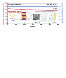 发光球黑森林粘土符片丨解锁自然之美