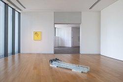 当艺术遇上反叛—自燃纳斯卡的另类书写