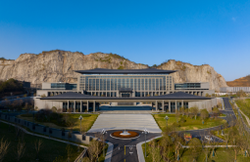 当绿色遇上科技｜反重力引擎下的植物损伤之谜