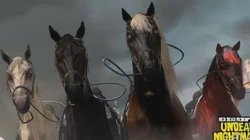 撒哈拉之魂—守护梦魇马的冒险