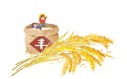 在雪线脚下，我遇见了会跳舞的稻穗…