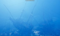 海底奇迹｜沉船与玻璃棺雨鱼的传奇