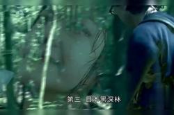 百慕大三角｜神秘海域的动物暴走之谜