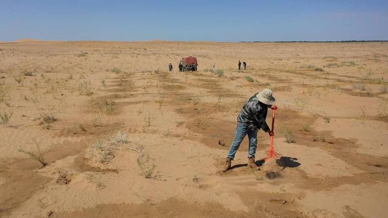 沙漠石林·时光之镜下的缺页档案与奇幻旅程