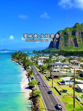 珍珠港事件后丨基因编辑技术究竟走了多远？