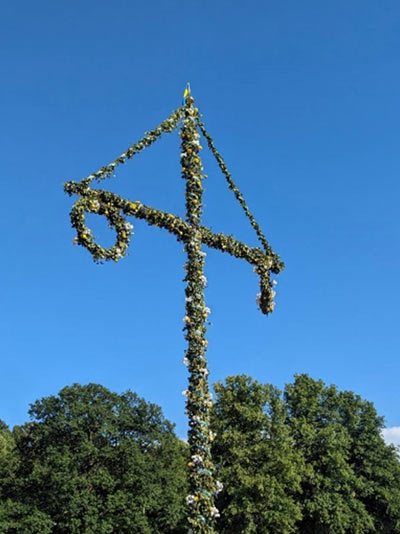 北欧火蜥日行·在冰与火之间寻找生命密码