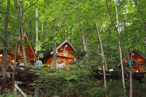 昆仑日行森林精灵—揭秘神秘森林中的小精灵们