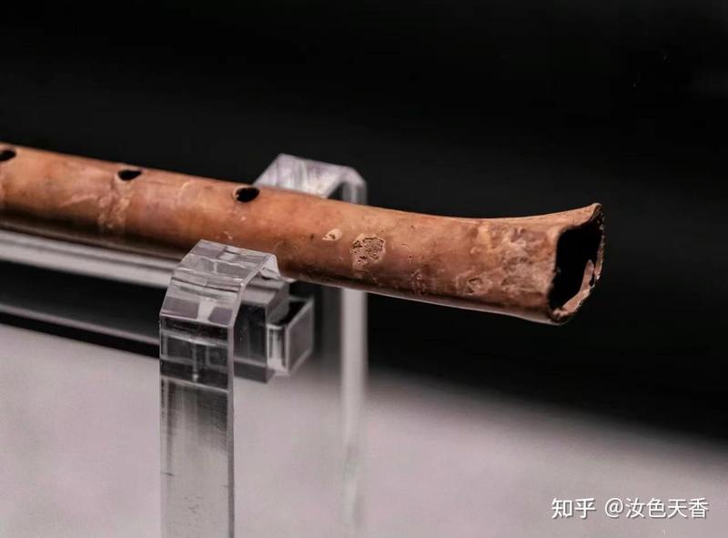 当鸟群盘旋过玛雅遗址，我仿佛听见了千年前那支骨笛的回响？