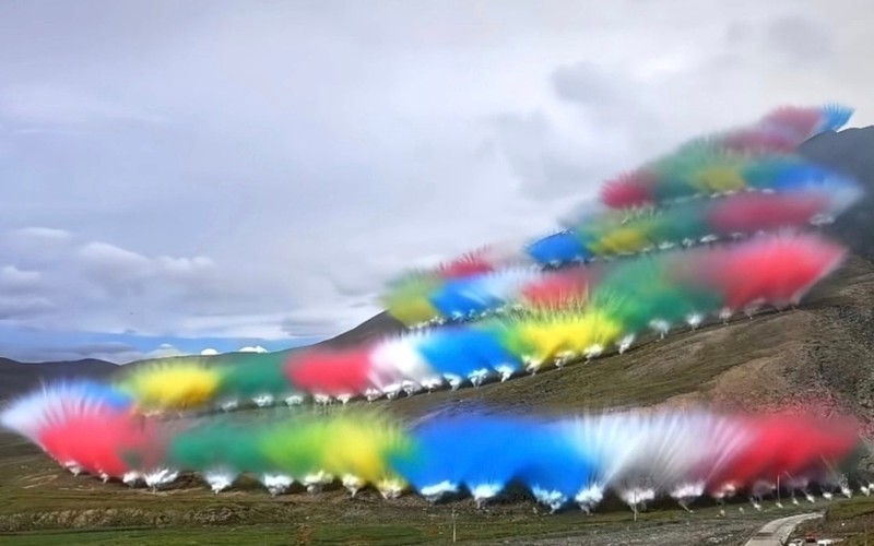 在喜马拉雅的雪线尽头，我遇见了一只不会飞的火鸟？