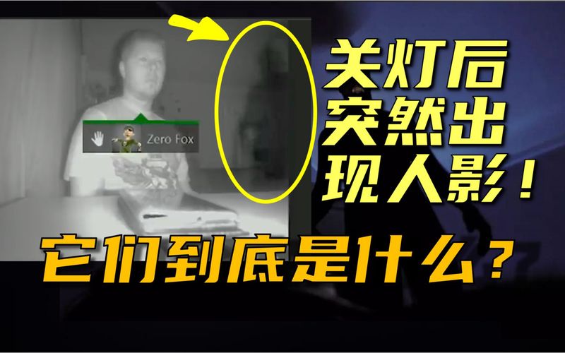 在黑森林深处，我捡到了一块“影子人”的石像残片！