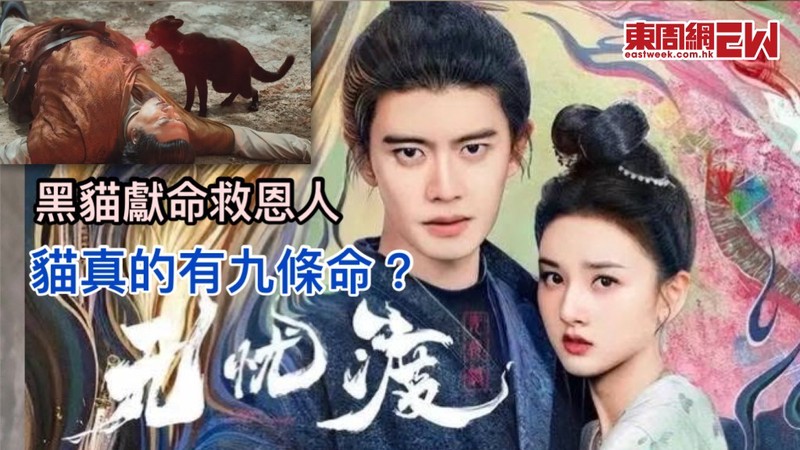 夜行亚马孙的猫妖丨传说与现实