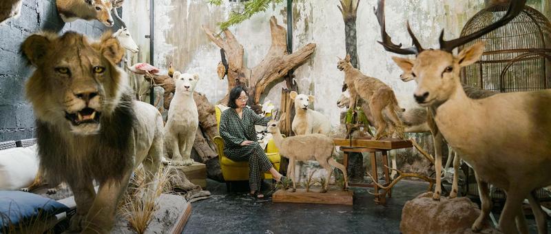 马六甲目击蜥蜴人母星—真实事件还是科幻臆想？