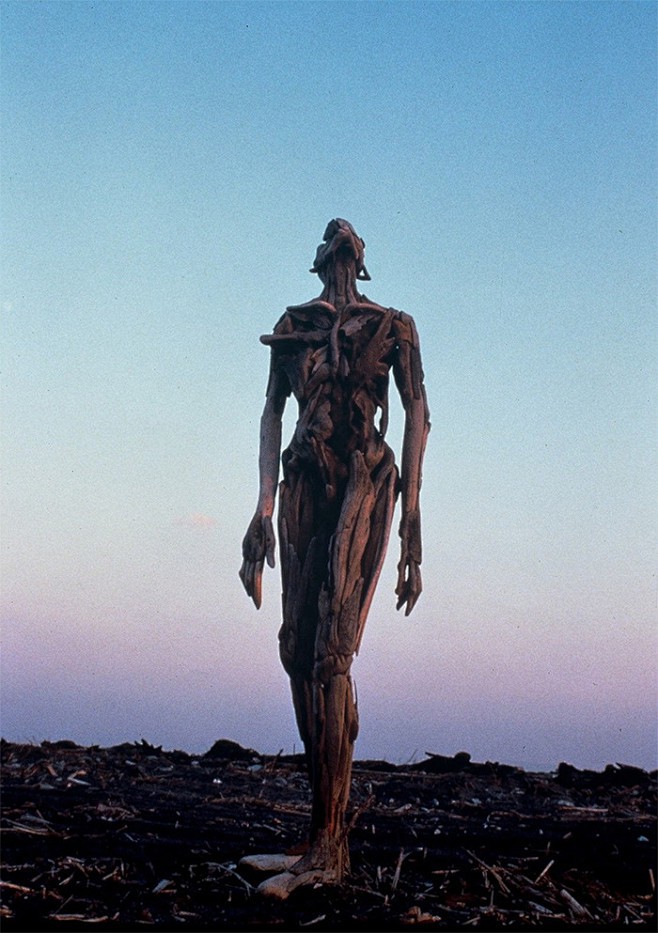 在雪线边上，我见过一棵“活着的神树”？