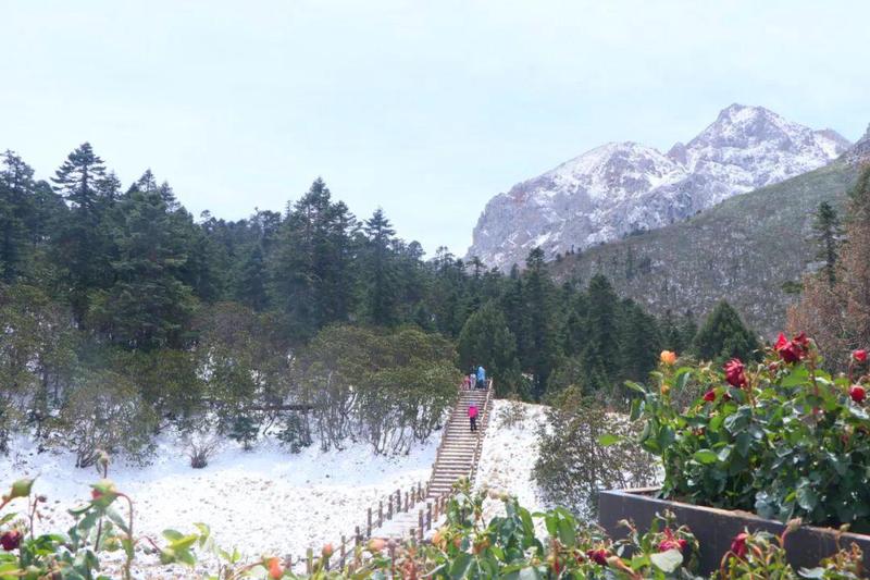 雪山之下的神秘生物：古老雪山雷兽