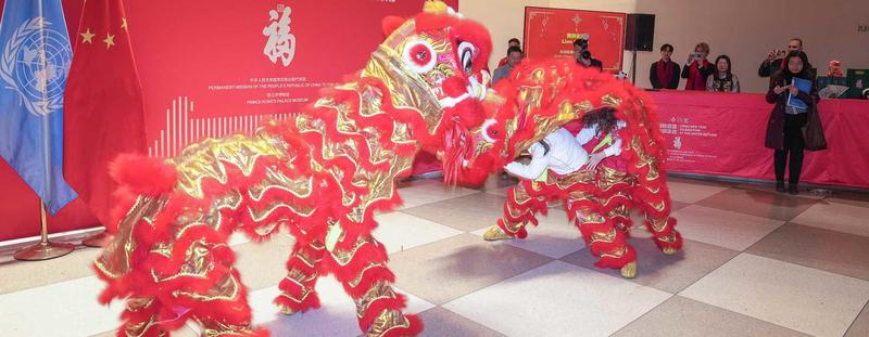 老刘的“蛇皮大衣”奇遇记！