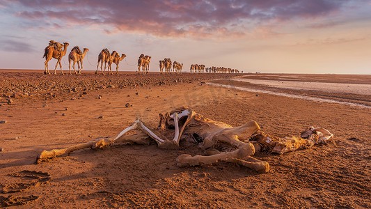 在喀尔巴阡山的暗夜里，那些骨制面具的低语？