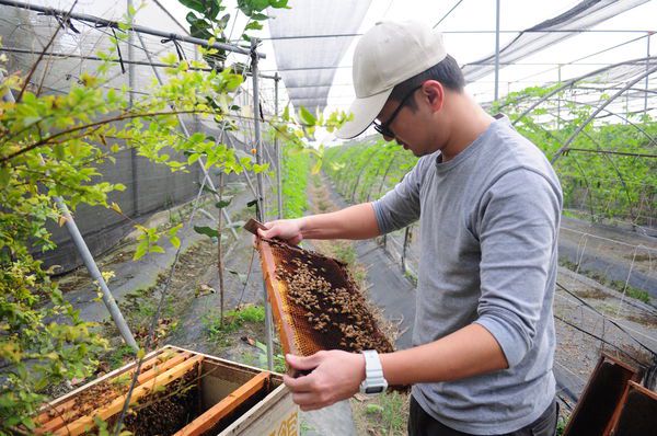 苦瓜故事馆丨那口又苦又甜的回忆