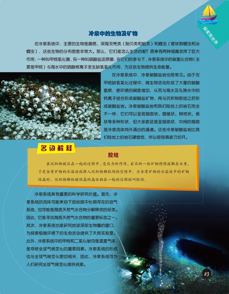 海底冷泉与潮汐倒流｜探索深海的神秘世界