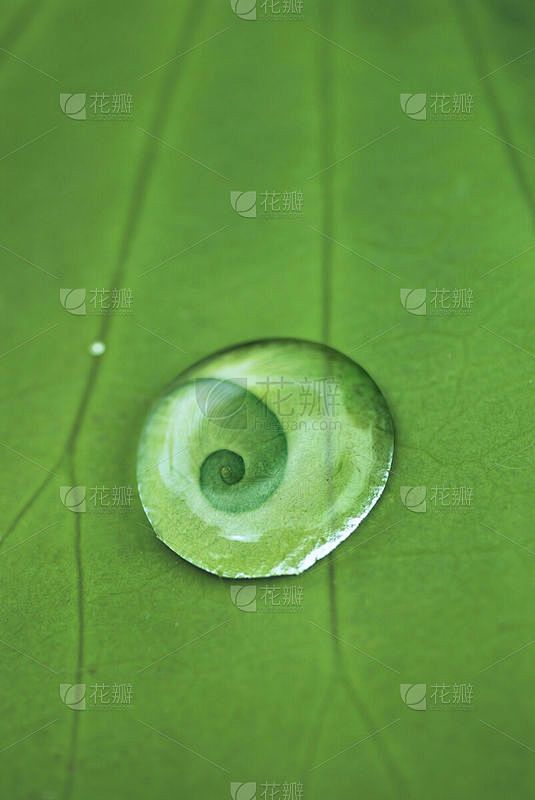 神秘的西伯利亚潮汐倒流眼形纹，大自然的鬼斧神工？