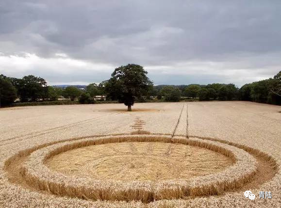 麦田怪圈背后的真相—科学与神秘的交织