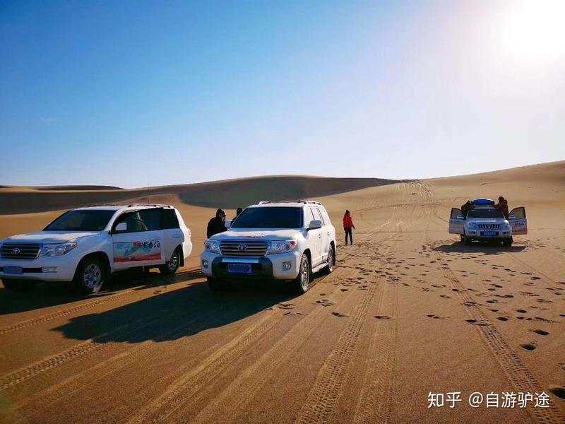 罗布泊的神秘琥珀—穿越时空的奇妙之旅