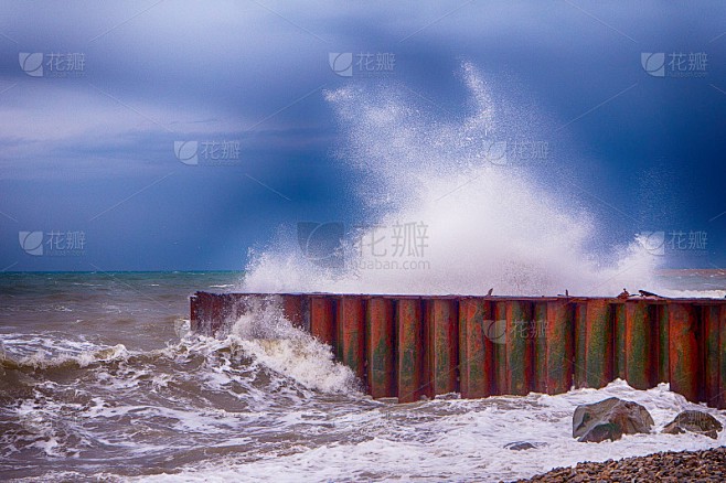 在月球的寂静中寻找生命的回响！