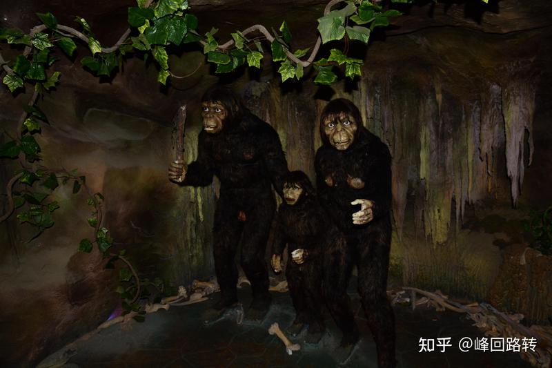 神农架的猫妖传说：荒芜背后的神秘面纱