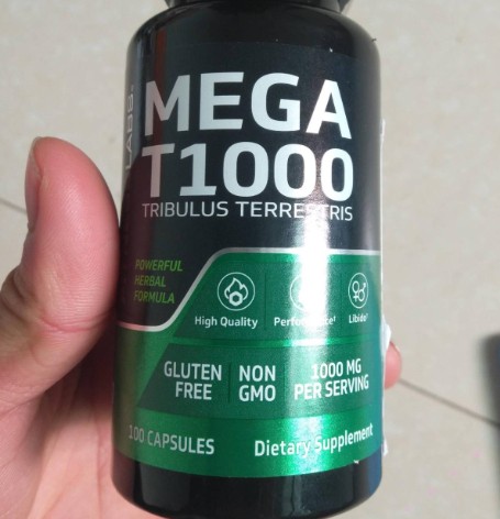 喀尔巴阡时间回圈密封胶囊：封存记忆的魔法盒子