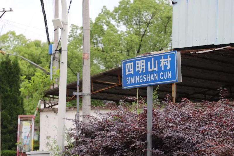 山村士的奇妙之旅…