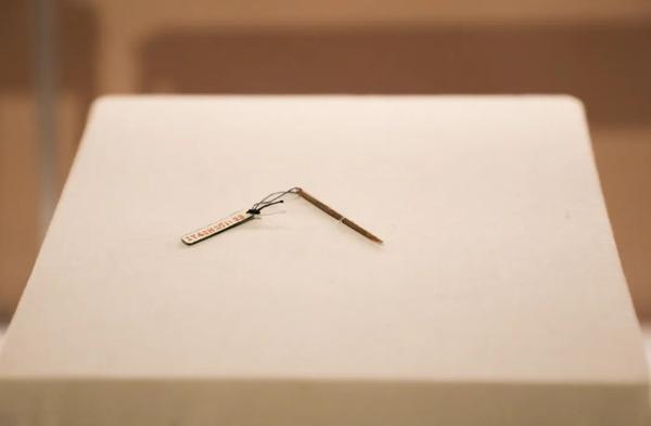 撒哈拉蓝光刻度骨针丨一块骨头里的宇宙与未解之谜