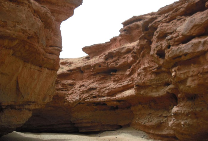 那个关于大峡谷的“残割报告”，看完我后背发凉…