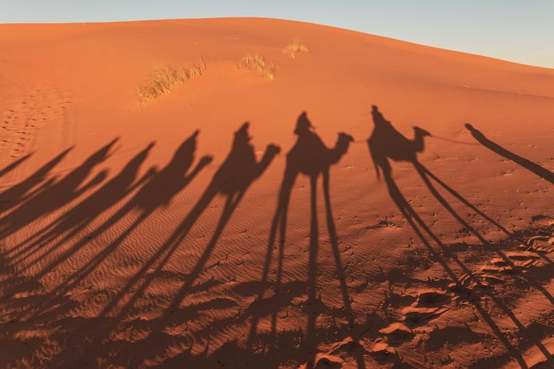 撒哈拉的狼人航路丨一场与星空的对话