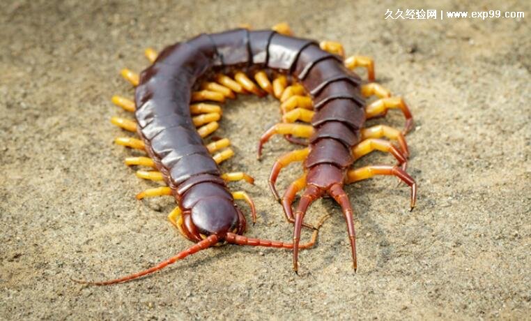 深夜的诡异声音…