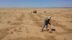 沙漠石林·时光之镜下的缺页档案与奇幻旅程