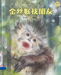 南垚的旧时光修补铺？