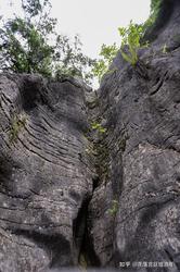 喀斯特地缝里长出的“黑色羽毛”丨科学家在贵州发现神秘生物痕迹