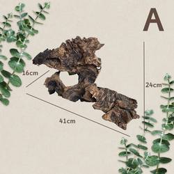 珊瑚塌陷区木偶立像·水下光环下的哀歌