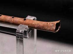 当鸟群盘旋过玛雅遗址，我仿佛听见了千年前那支骨笛的回响？