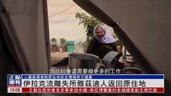 中东失落的白泽｜一场文明的遗忘与重生