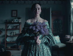 安第斯山脉下的隐秘守护者｜一场关于隐身的传奇