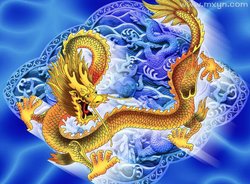 我梦见了深海里的铜龙，醒来后才发现它在照镜子？