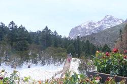 雪山之下的神秘生物：古老雪山雷兽