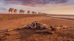 在喀尔巴阡山的暗夜里，那些骨制面具的低语？