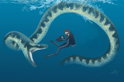 北极海蛇的日常·极地生存的奇迹