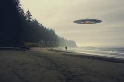 黎明时分的神秘邂逅！