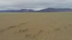 荒漠丰收云中兽｜一场奇幻的丰收盛宴