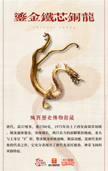 那个在风沙里生锈的家伙丨聊聊荒漠铜龙